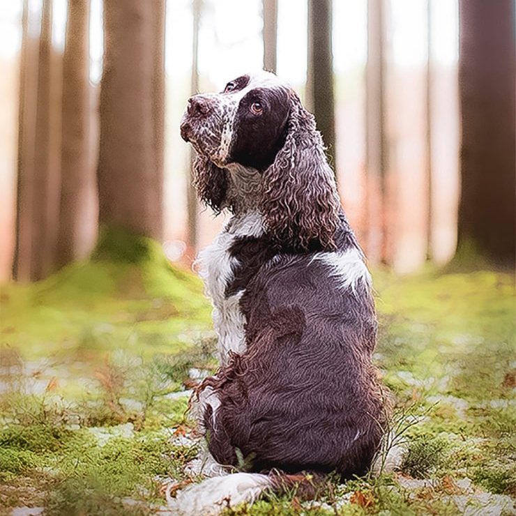 Fotoshooting-Feuchtwangen