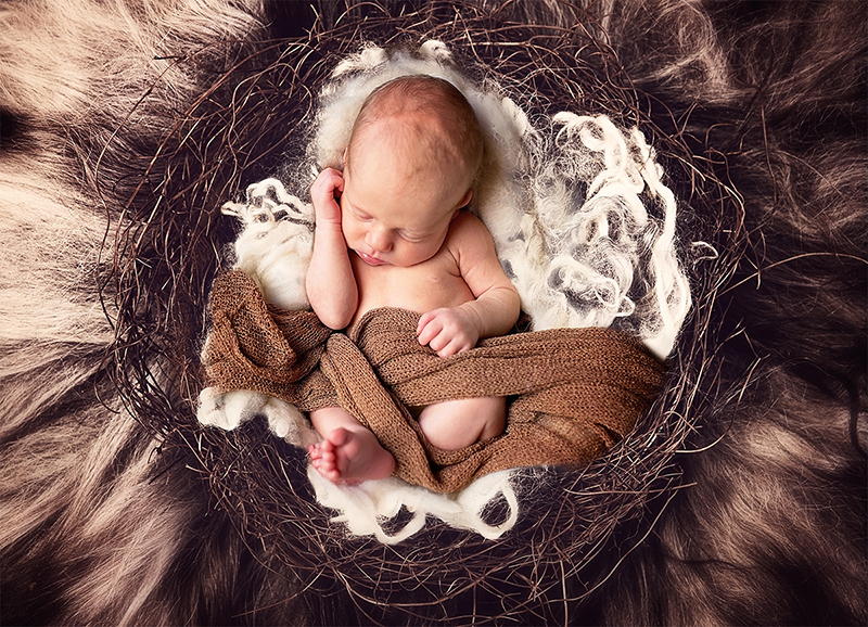 Newborn Baby Fotoshooting Feuchtwangen Fotograf Dentlein (3) Newborn Baby Fotoshooting Feuchtwangen Fotograf Dentlein